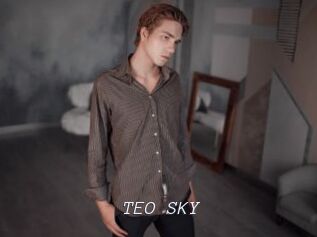 TEO_SKY