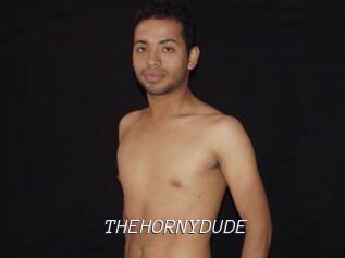 THEHORNYDUDE