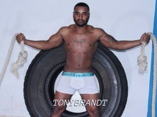 TONYBRANDT