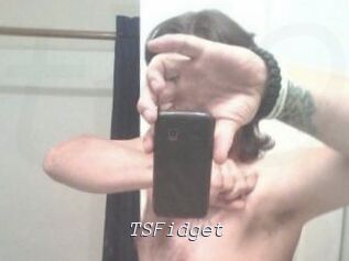 TSFidget