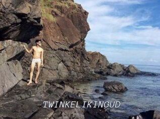 TWINKELIKINGUD