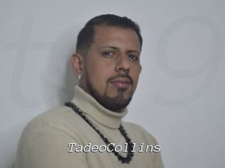 TadeoCollins