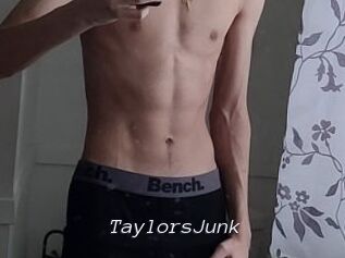 TaylorsJunk