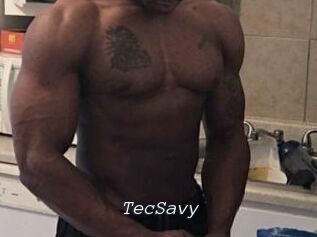 TecSavy