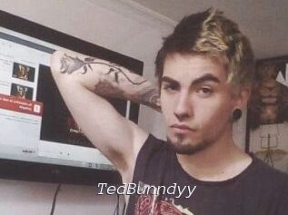 TedBunndyy