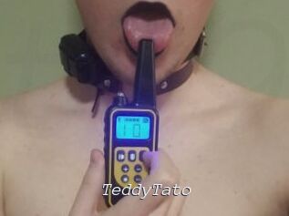 TeddyTato