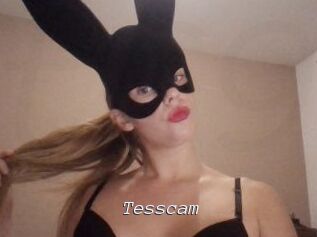 Tesscam