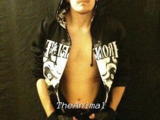 TheAnimal Tel 69 Salopes