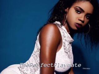 ThePerfectPlaymate