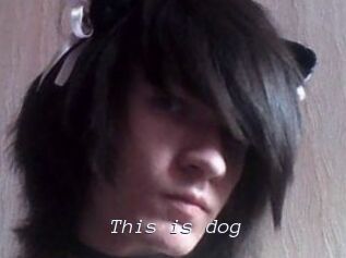 This_is_dog