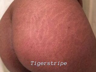 Tigerstripe