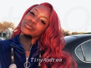 TinyAndrea