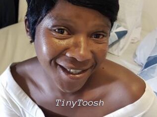 TinyToosh