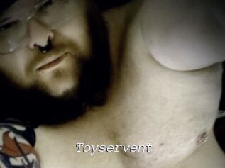 Toyservent
