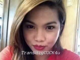 TransBigCOCK4u