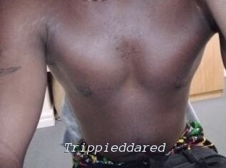 Trippieddared