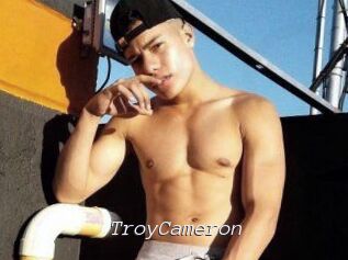 Troy_Cameron Tel 69 Salopes
