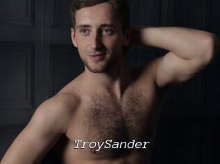 TroySander