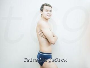 TwinkLargeDick