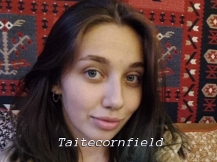 Taitecornfield