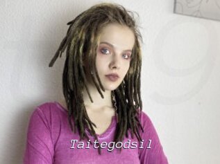Taitegodsil
