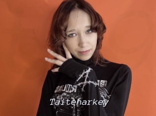 Taiteharkey