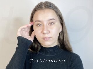 Taitfenning