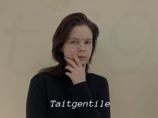 Taitgentile