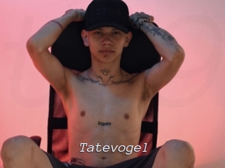 tatevogel Tel 69 Salopes