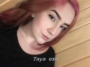 Taya_exe