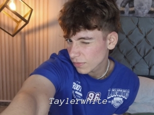 taylerwhite Tel 69 Salopes