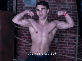 Taylerwild