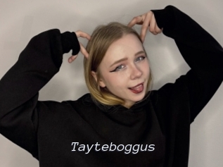 Tayteboggus