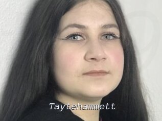 Taytehammett