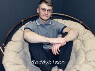 Teddybizon