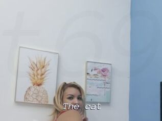 The_cat