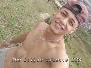 The_little_bruette_228