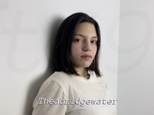 Theabridgewater