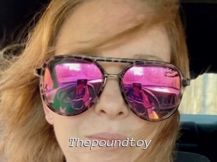 Thepoundtoy