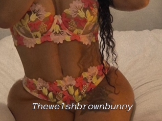 Thewelshbrownbunny