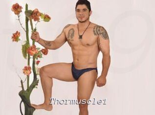 Thormuscle1