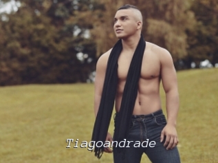tiagoandrade Tel 69 Salopes
