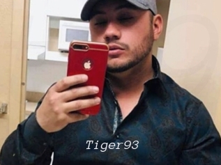 Tiger93