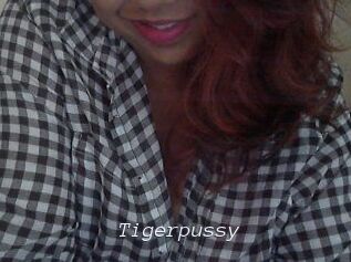 Tigerpussy