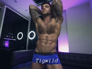 tigwild Tel 69 Salopes