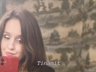 Tinamit