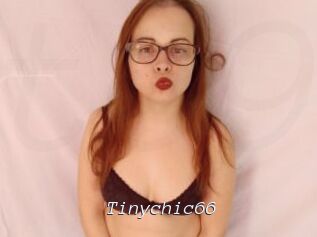 Tinychic66