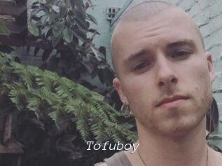 Tofu_boy