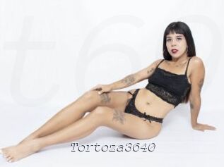 Tortoza3640