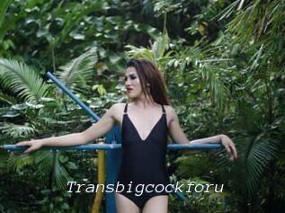 Transbigcockforu
